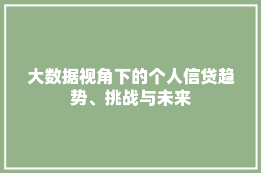 大数据视角下的个人信贷趋势、挑战与未来