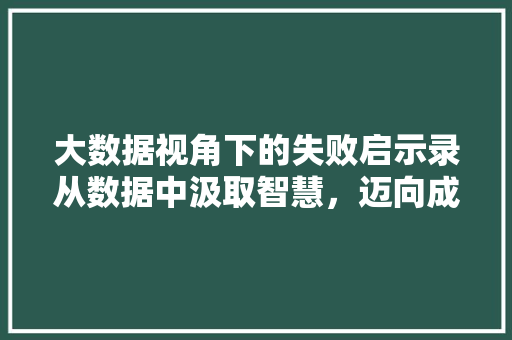 大数据视角下的失败启示录从数据中汲取智慧，迈向成功之路