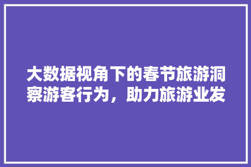 大数据视角下的春节旅游洞察游客行为，助力旅游业发展