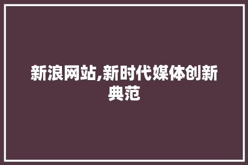 新浪网站,新时代媒体创新典范