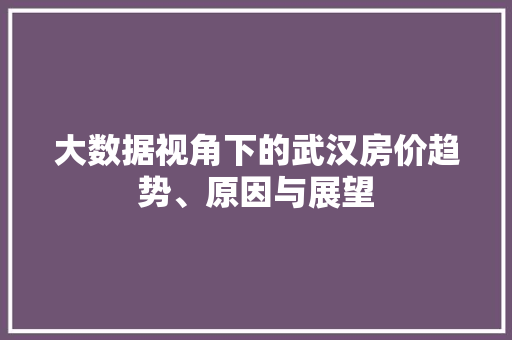 大数据视角下的武汉房价趋势、原因与展望