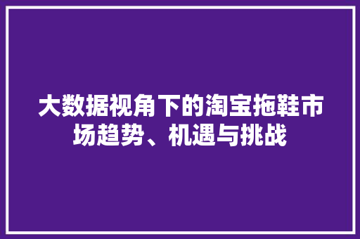大数据视角下的淘宝拖鞋市场趋势、机遇与挑战