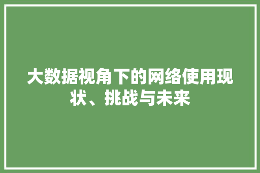 大数据视角下的网络使用现状、挑战与未来