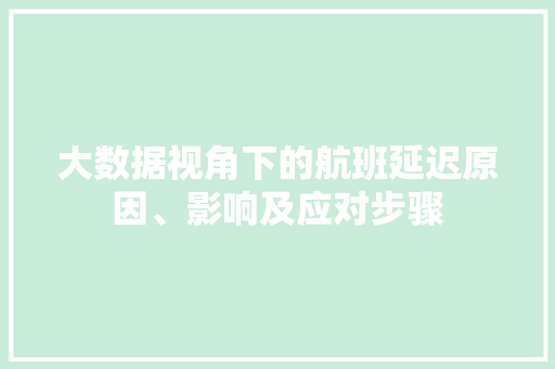 大数据视角下的航班延迟原因、影响及应对步骤