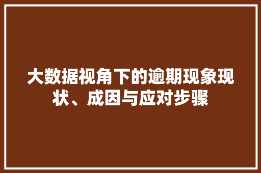 大数据视角下的逾期现象现状、成因与应对步骤