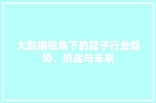 大数据视角下的鞋子行业趋势、挑战与未来