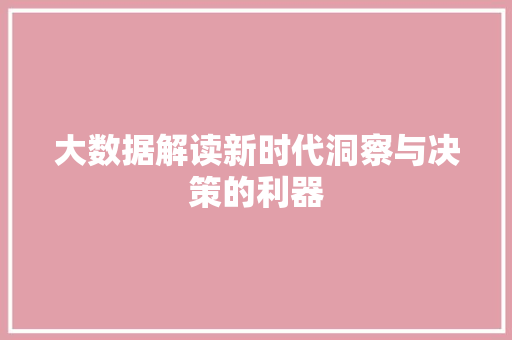 大数据解读新时代洞察与决策的利器