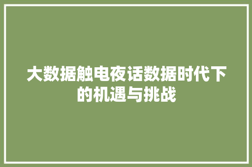 大数据触电夜话数据时代下的机遇与挑战