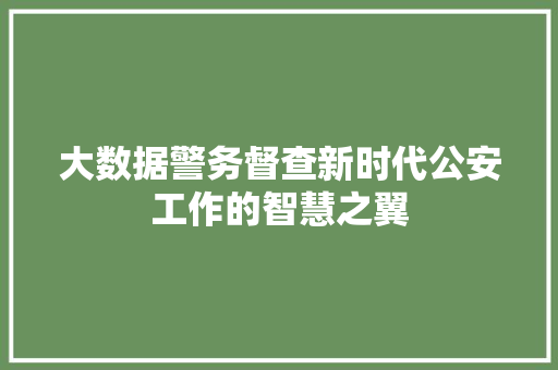 大数据警务督查新时代公安工作的智慧之翼