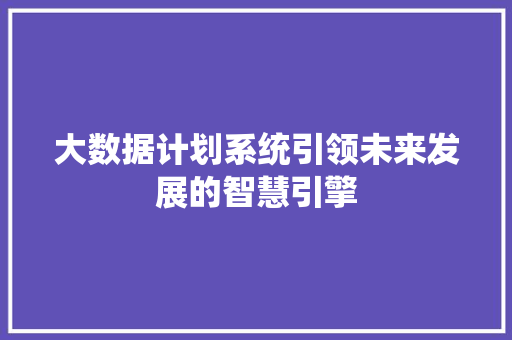 大数据计划系统引领未来发展的智慧引擎