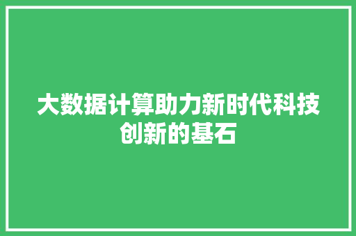 大数据计算助力新时代科技创新的基石