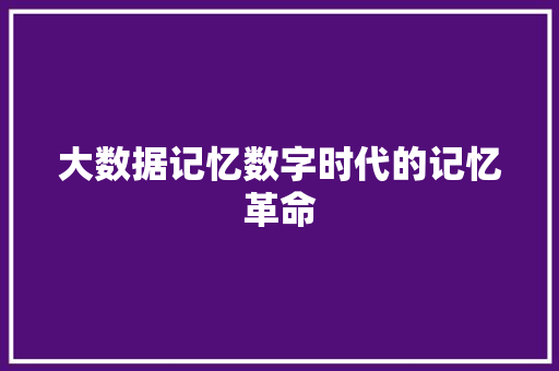 大数据记忆数字时代的记忆革命