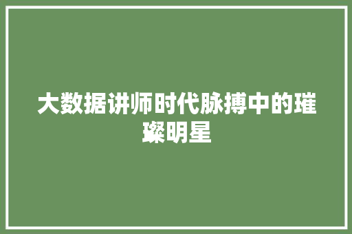 大数据讲师时代脉搏中的璀璨明星