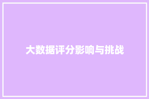 大数据评分影响与挑战