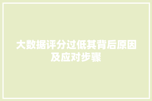 大数据评分过低其背后原因及应对步骤