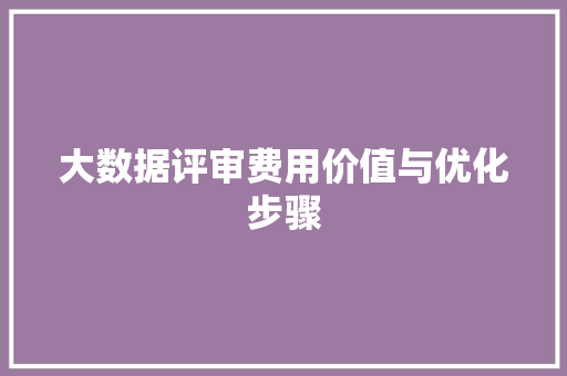 大数据评审费用价值与优化步骤