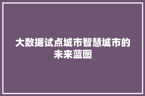大数据试点城市智慧城市的未来蓝图