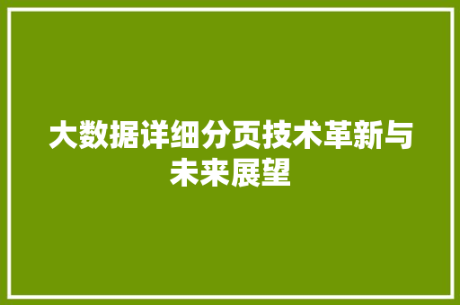 大数据详细分页技术革新与未来展望