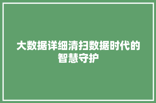 大数据详细清扫数据时代的智慧守护