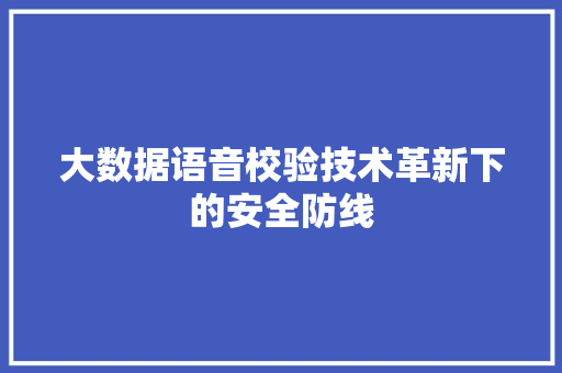 大数据语音校验技术革新下的安全防线