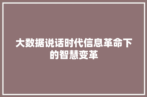 大数据说话时代信息革命下的智慧变革