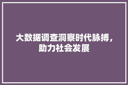 大数据调查洞察时代脉搏，助力社会发展 服务器/数据库