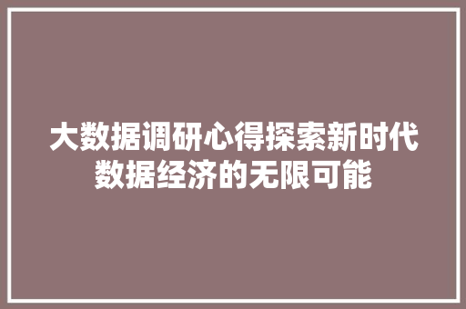 大数据调研心得探索新时代数据经济的无限可能