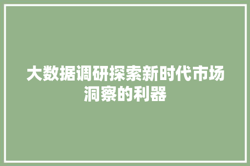 大数据调研探索新时代市场洞察的利器