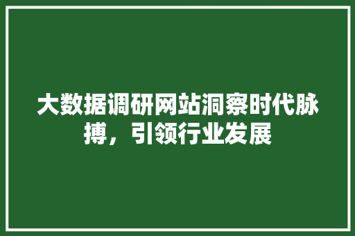 大数据调研网站洞察时代脉搏，引领行业发展