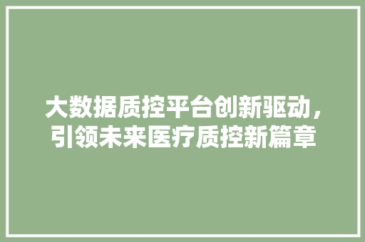 大数据质控平台创新驱动，引领未来医疗质控新篇章