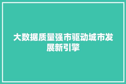大数据质量强市驱动城市发展新引擎