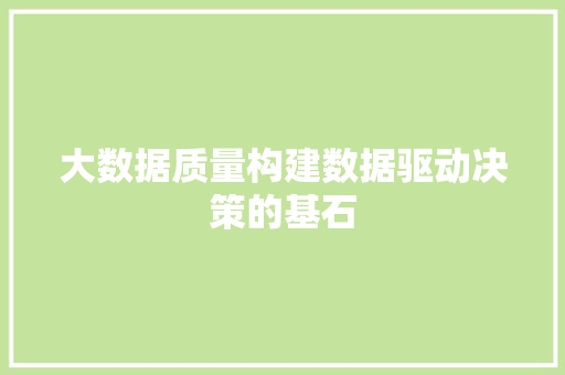 大数据质量构建数据驱动决策的基石