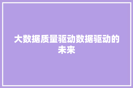 大数据质量驱动数据驱动的未来
