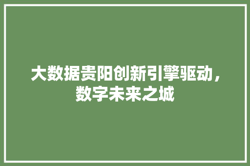 大数据贵阳创新引擎驱动，数字未来之城
