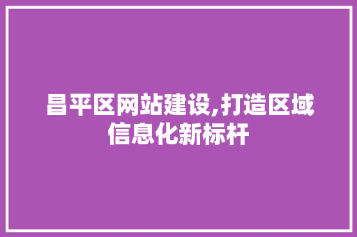 昌平区网站建设,打造区域信息化新标杆