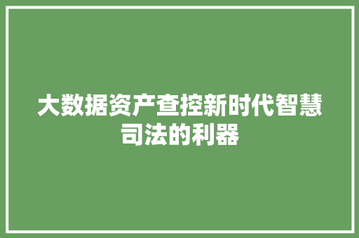 大数据资产查控新时代智慧司法的利器