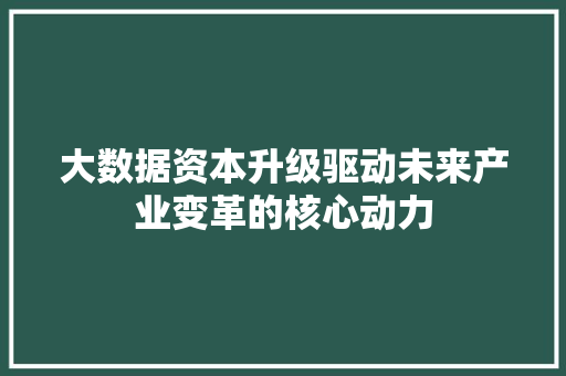 大数据资本升级驱动未来产业变革的核心动力