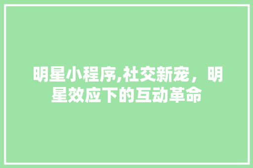 明星小程序,社交新宠，明星效应下的互动革命