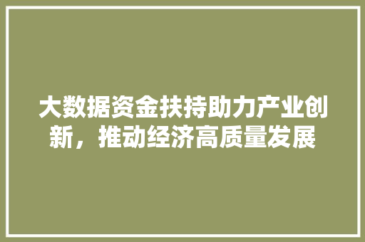 大数据资金扶持助力产业创新，推动经济高质量发展