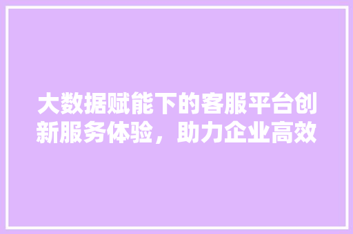 大数据赋能下的客服平台创新服务体验，助力企业高效运营