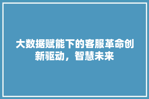 大数据赋能下的客服革命创新驱动，智慧未来