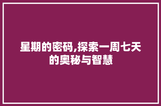 星期的密码,探索一周七天的奥秘与智慧