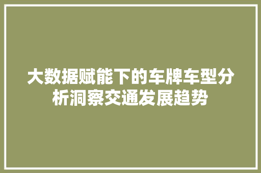 大数据赋能下的车牌车型分析洞察交通发展趋势
