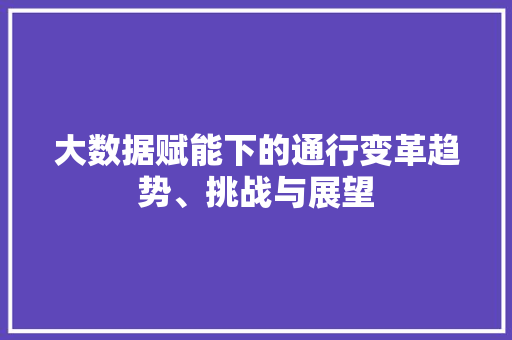 大数据赋能下的通行变革趋势、挑战与展望