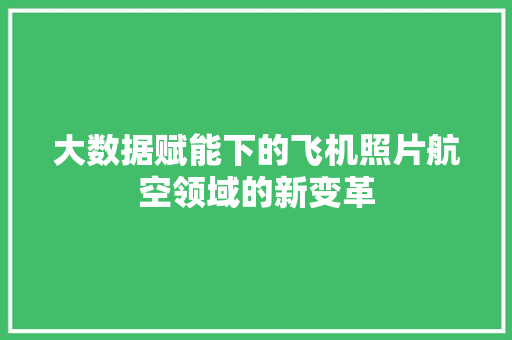 大数据赋能下的飞机照片航空领域的新变革