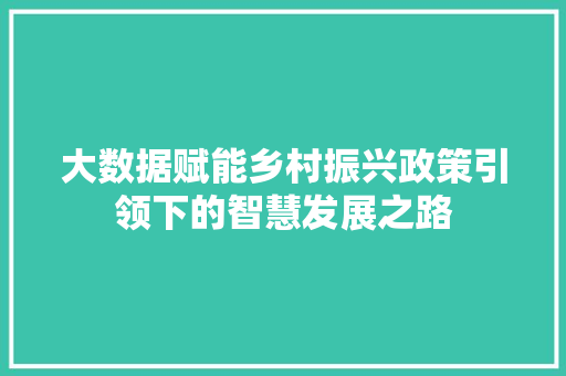 大数据赋能乡村振兴政策引领下的智慧发展之路
