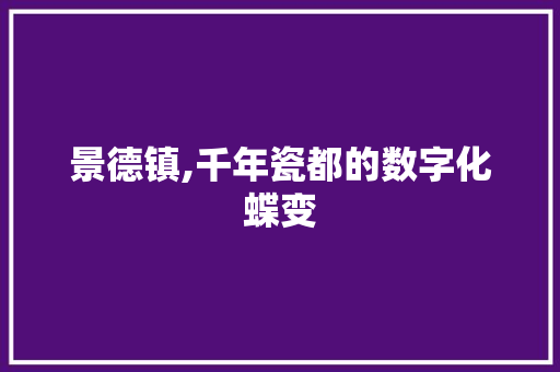 景德镇,千年瓷都的数字化蝶变