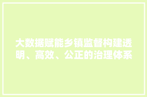 大数据赋能乡镇监督构建透明、高效、公正的治理体系