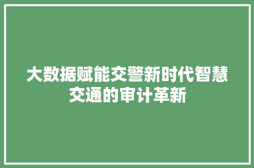 大数据赋能交警新时代智慧交通的审计革新