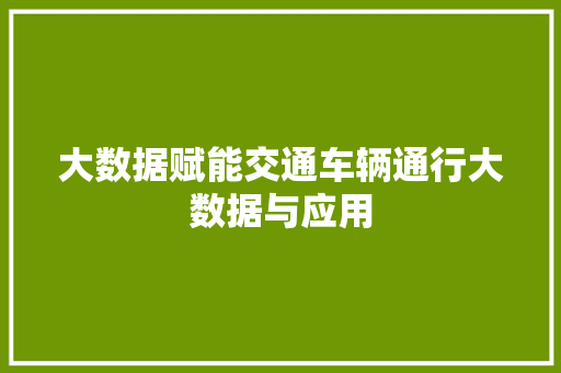 大数据赋能交通车辆通行大数据与应用